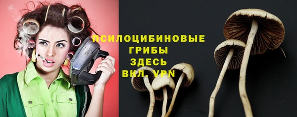гашик Алексеевка