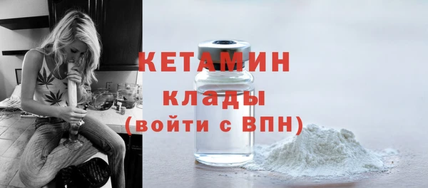 СК Алексин