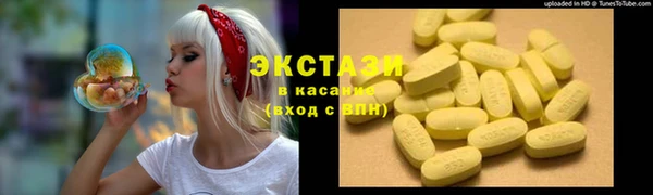 СК Алексин