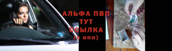 СК Алексин