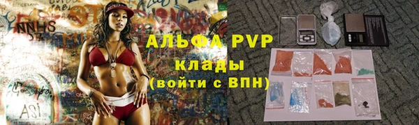 гашик Алексеевка